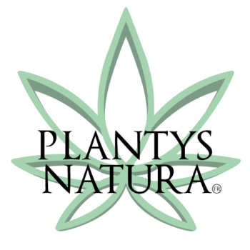 creation du logo a perpignan plantys-natura-cbd