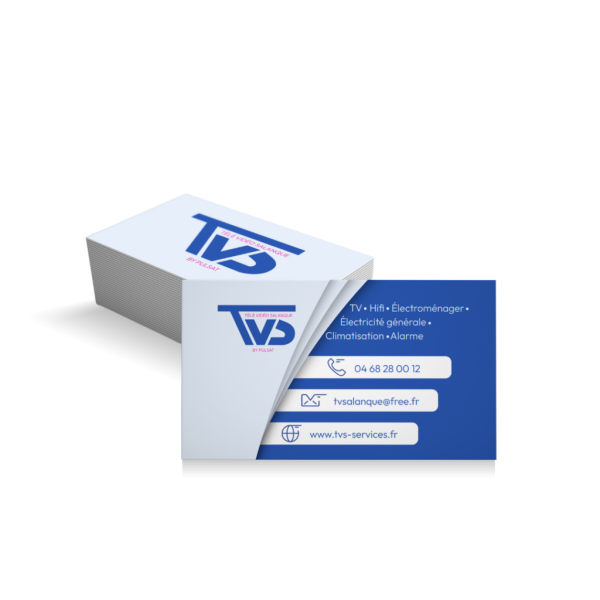 creation-identite-visuelle-logo tvs perpignan